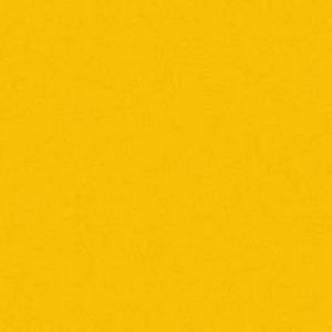 Meet your Posher, Sylvana